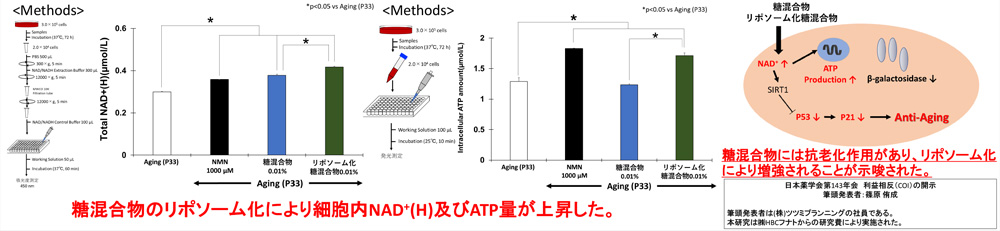 細胞内Total NAD ++(H)量　　　　　　　　　　細胞内ATP量　　　　　　　　　　まとめ