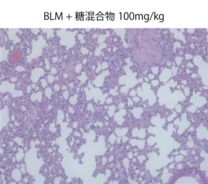 BLM+糖混合物 100mg/kg