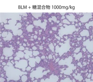 BLM+糖混合物 1000mg/kg